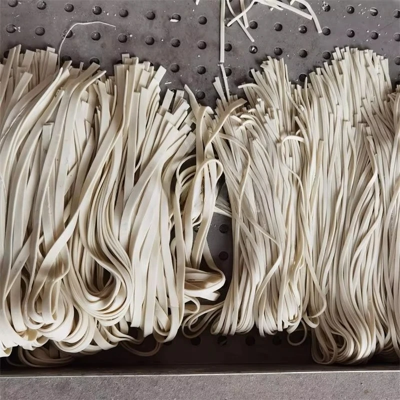 Inteligentna maszyna do robien – Pasta Machine Electric recenzja i cena